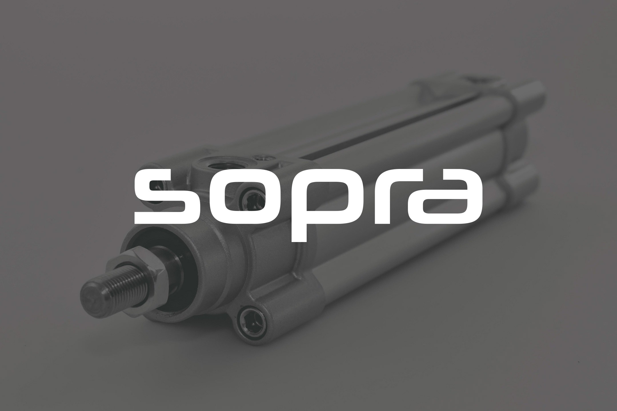 Sopra, société du Groupe Socafluid