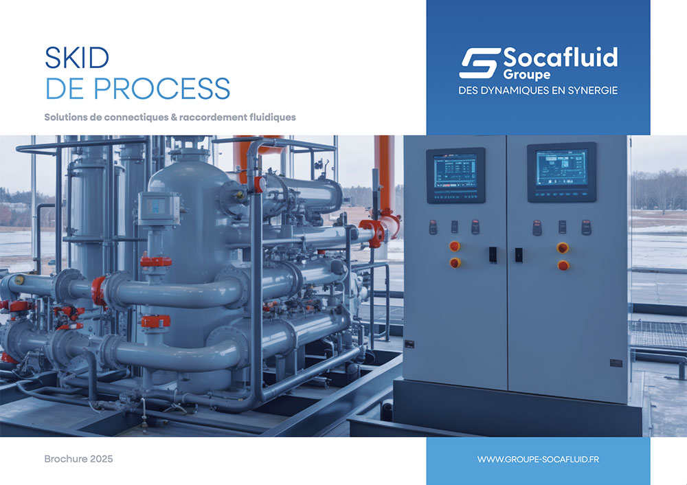Brochure skid de process
